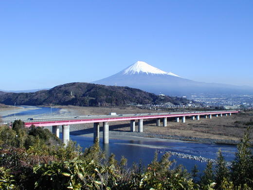 ただいま帰宅