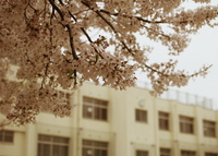 桜咲くころ・・・ 2010/04/07 23:05:25