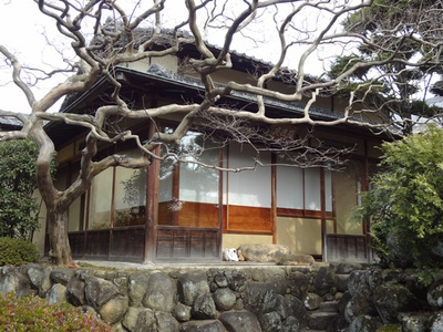 ドキドキの…　初釜式！　姫路文学館 「雄徳庵」