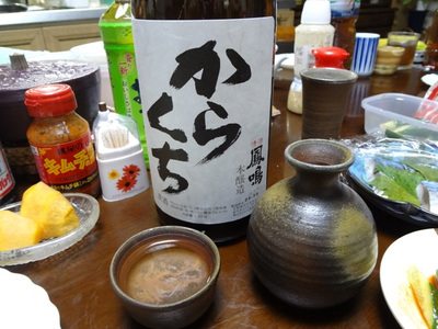 イカは、いかが～？