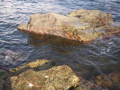 海に ・ ・ ・ 。