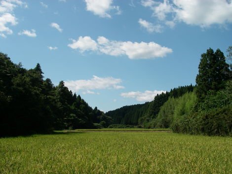 親父の故郷の風景