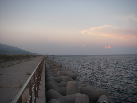 淡路島ワインドdeタチウオ