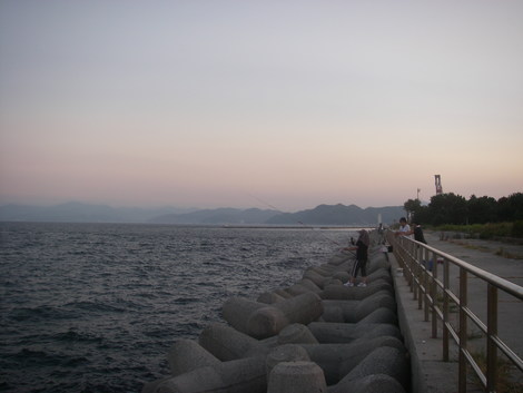 淡路島ワインドdeタチウオ