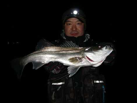 泉南シーバス＆釣り仲間