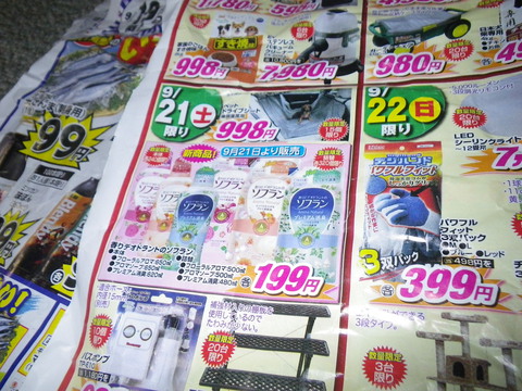 近況報告・磯ヒラ編