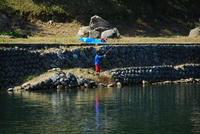 お初の青蓮寺湖