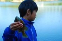 お初の青蓮寺湖