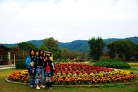 農業公園信貴山のどか村へ 2010/11/18 17:00:00