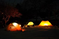 ふらり2011*Start・・・そして 2011/01/16 12:00:00