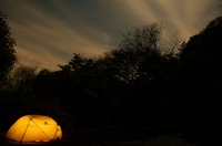 土曜ふらり☆大野山アルプスランド 2011/04/18 12:00:00