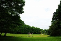 久しぶりの奈良県立矢田自然公園（矢田山遊びの森） 2011/05/22 00:31:59