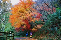晩秋生駒山ハイク 2011/12/06 12:00:00