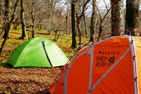 晩秋の明神平B・P（1泊2日） 2012/11/27 12:00:00