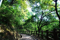 2013年9月22日の生駒散策 2013/10/04 12:00:00