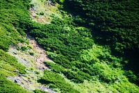 み~つけた!(^^)! 2011/08/13 10:43:36