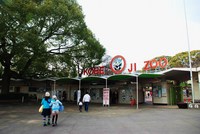 神戸市立王子動物園 2011/02/08 23:14:39