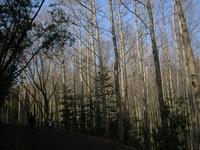 お山ハイク♪ 2013/02/25 10:39:26