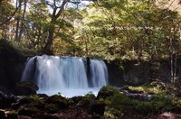 奥入瀬渓流ハイキング