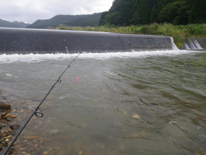 福島 渓 Link 渓流 源流釣行記 トップ 福島県猪苗代湖 F川 ヤマメ43cm ミノーイング