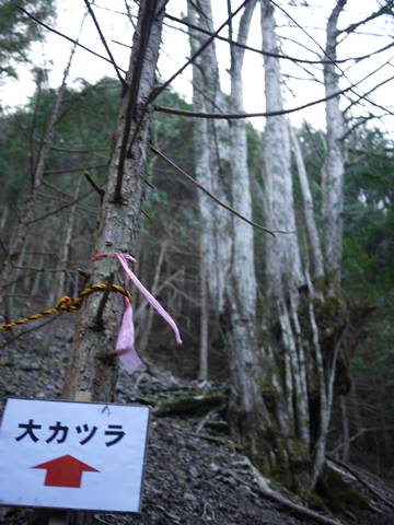 大光山　１６６１ｍ