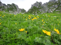 木曽駒ヶ岳登山 2011/08/01 10:14:33