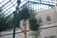 茨城旅行（水戸、牛久）　二日目 2010/11/29 09:31:20