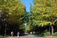所沢航空記念公園 2010/11/03 22:22:20