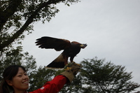 鳥野目河川公園キャンプ場 2009/09/21 21:08:00