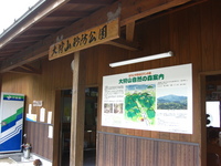 暑いので、毎日泳いでます。 2010/08/16 23:02:01