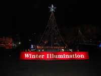 Winter　illumimation　 2009/11/22 22:46:26