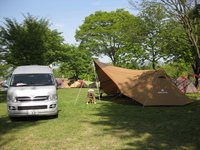 わが家ではエリマキトカゲと呼んでます。