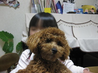 我が家に新しい家族が・・・・・ 2010/03/24 21:55:40