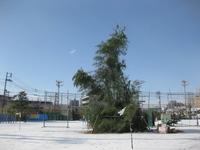 とんど祭り 2011/01/16 20:40:29