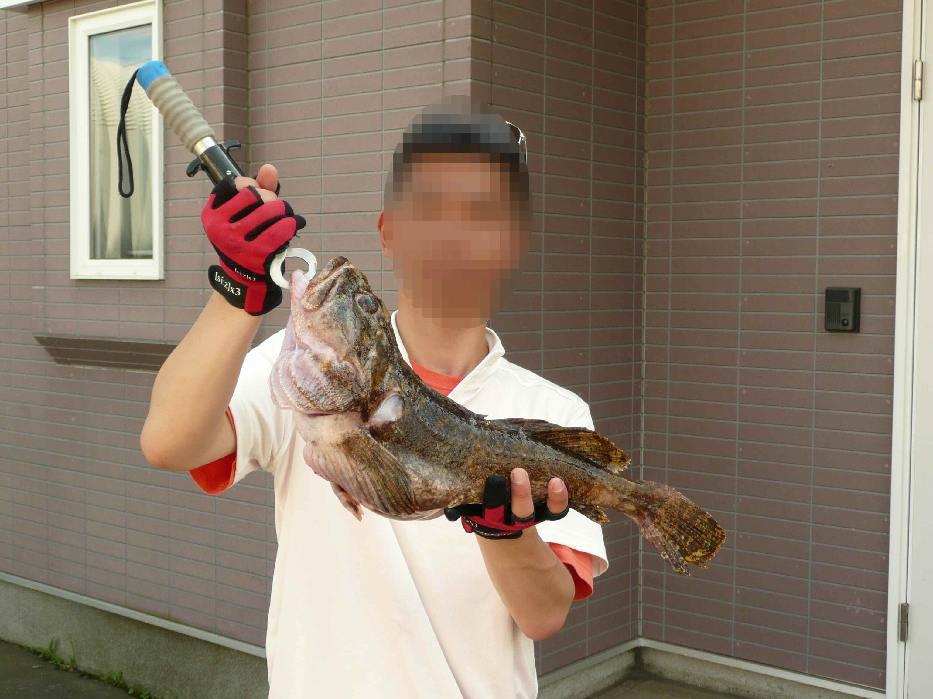 気が向いたので・・・