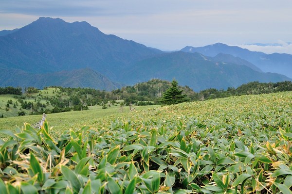 四国遠征　山編「瓶ヶ森」