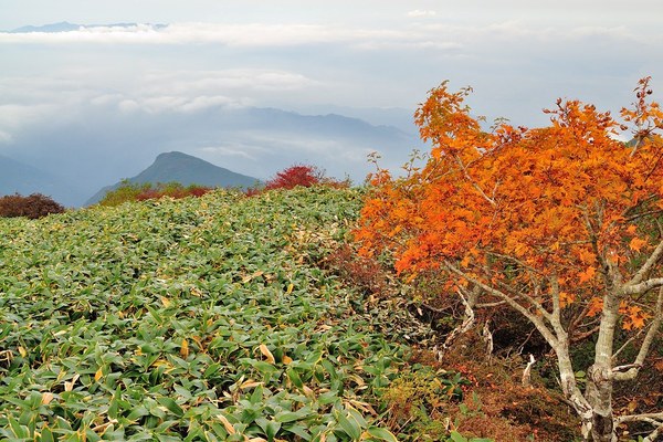 四国遠征　山編「瓶ヶ森」