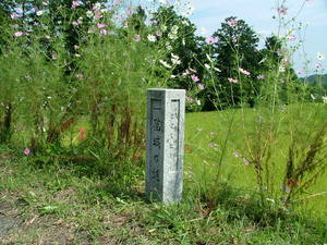 彼岸花咲く「葛城の道」を行く