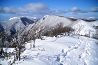 再び藤原岳へ　絶景！！　その３