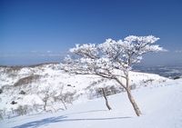 再び藤原岳へ　絶景！！