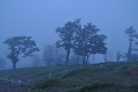 大台ケ原で星見のはずが・・・ 2010/07/21 00:49:17