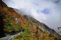 綾錦　石鎚山　vol.4