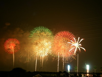 夜空の大輪　満開 2008/08/02 01:06:01