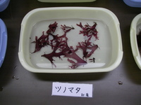 五か所湾で夏休み　その３