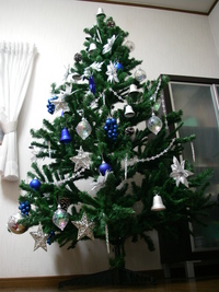 クリスマスツリー 2008/11/16 21:42:56