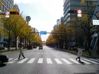 初冬　御堂筋 2008/12/07 17:36:58