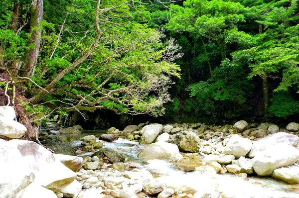 ｺﾊﾞﾙﾄﾌﾞﾙｰな前鬼川で沢登り