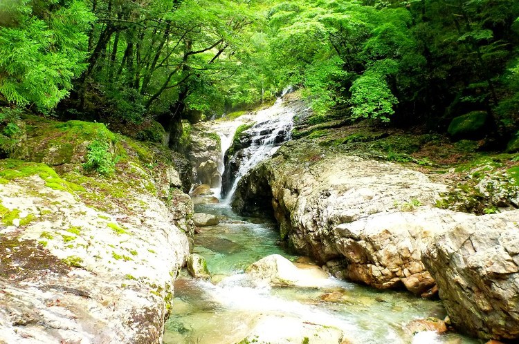 ｺﾊﾞﾙﾄﾌﾞﾙｰな前鬼川で沢登り