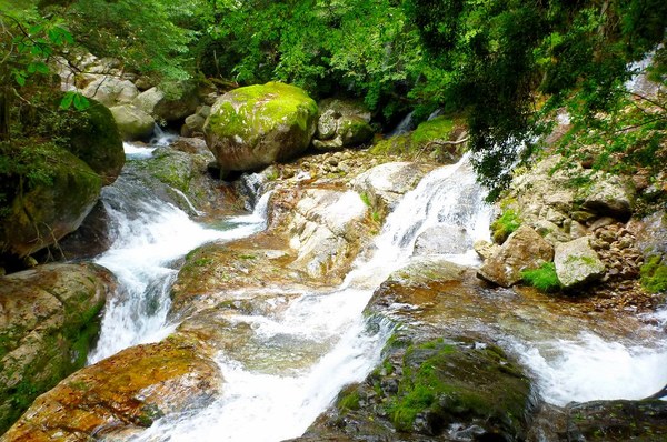 ｺﾊﾞﾙﾄﾌﾞﾙｰな前鬼川で沢登り