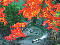今年の紅葉　遅れ気味？ 2008/10/26 18:28:44